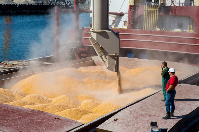 «Русагротранс» серьёзно занизил оценку экспорта пшеницы из РФ в июне